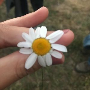 Meet your Posher, Kayan